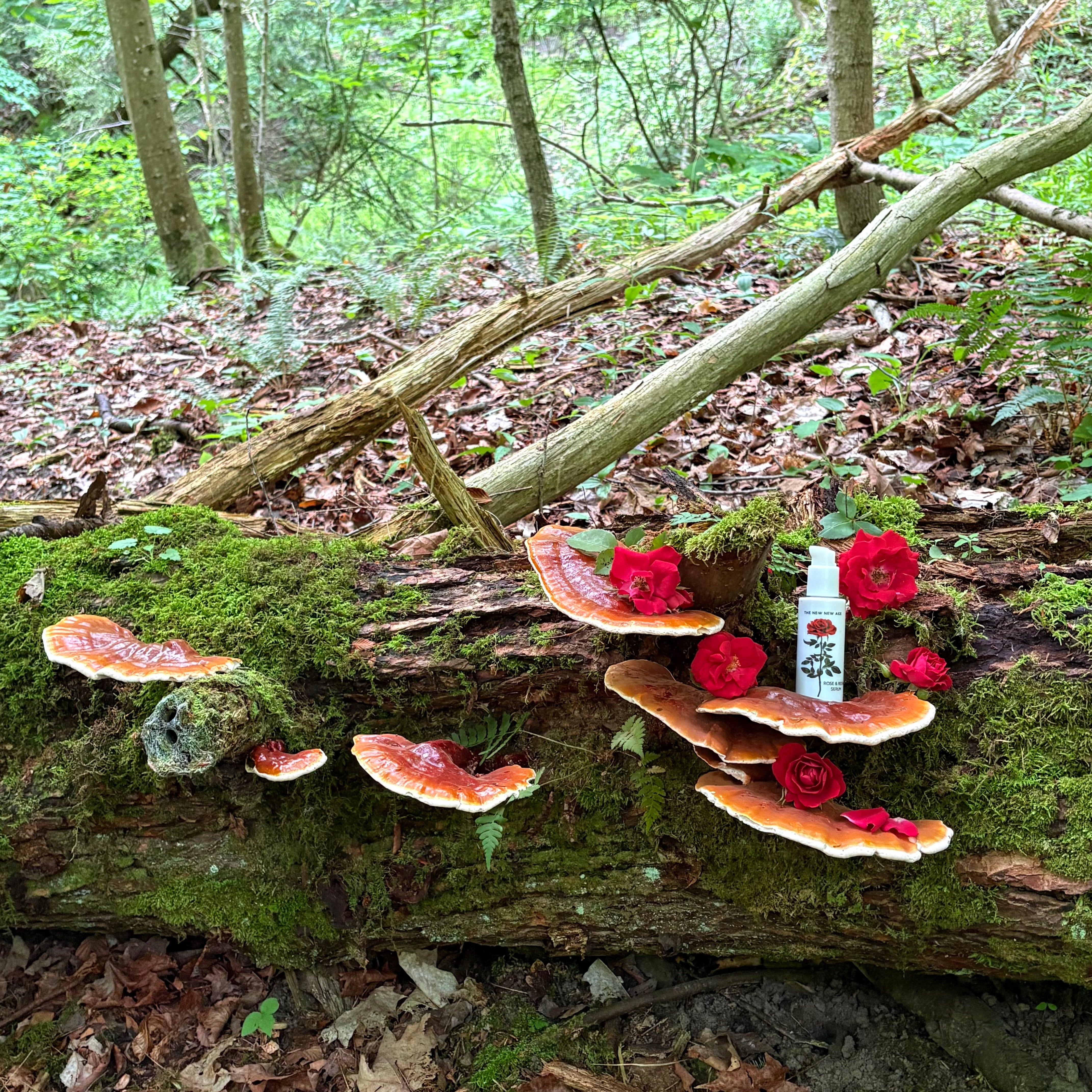 Rose and reishi serum by The New New Age
