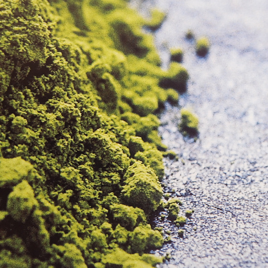 Tea, Exotic Flavors and Aromas