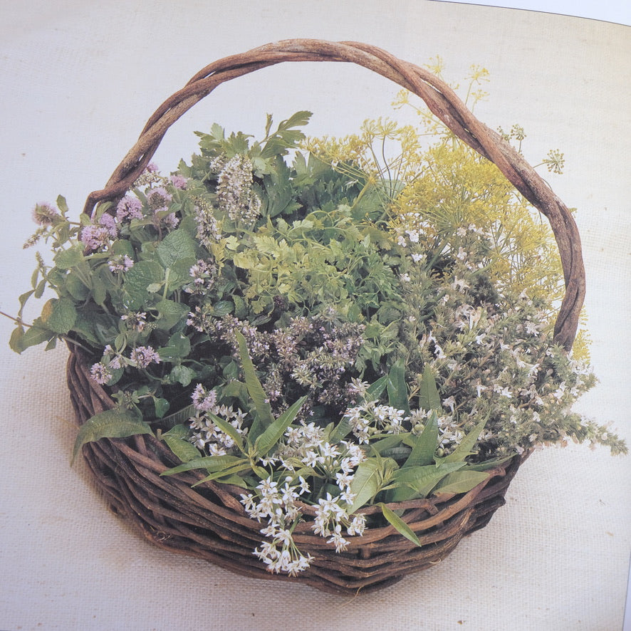 From the Garden to the Table: Growing & Cooking with Herbs