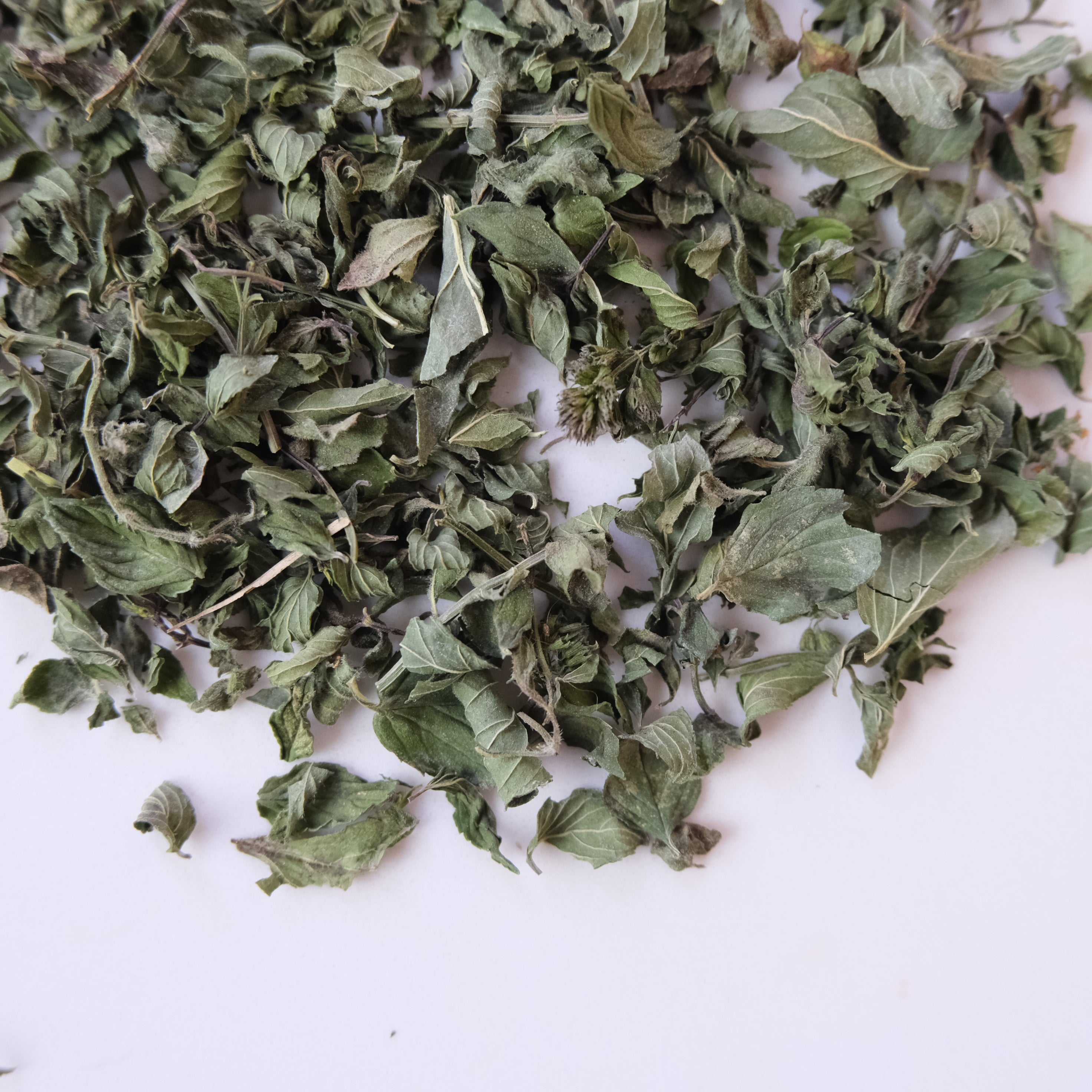 Dried green herbs on a white background