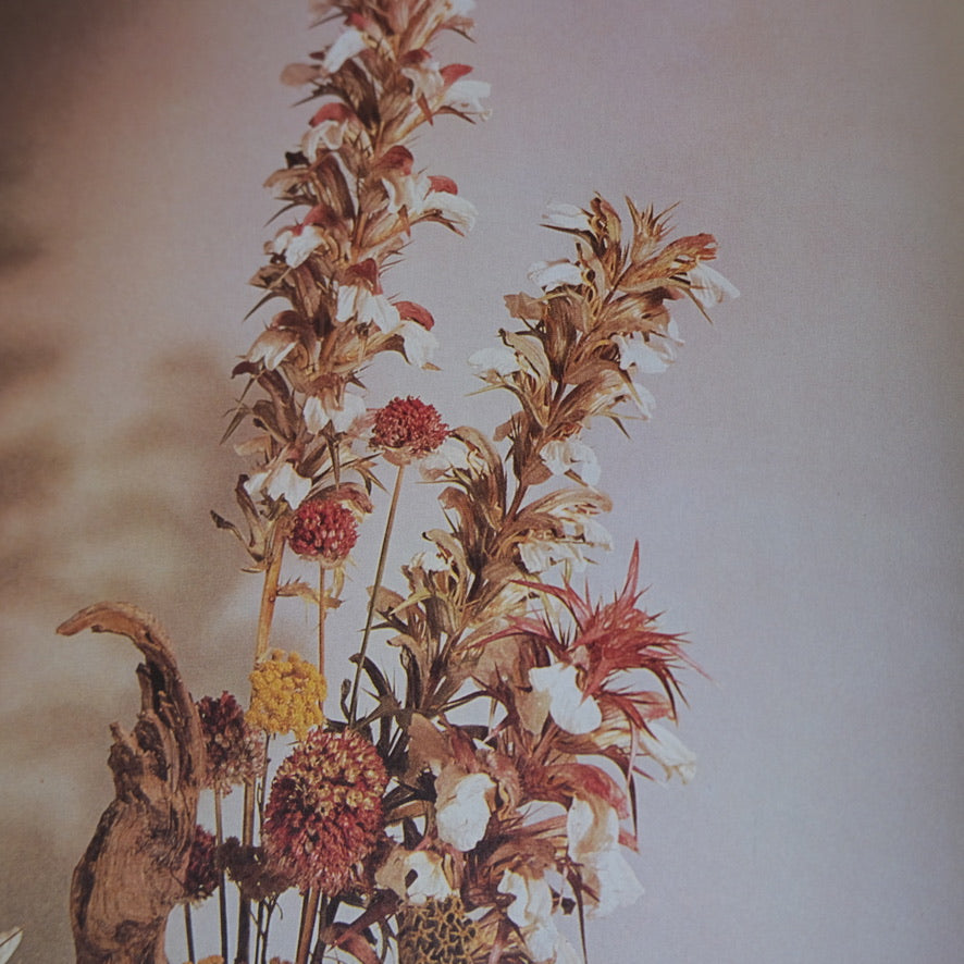 THE ART OF PRESERVED FLOWER ARRANGEMENT