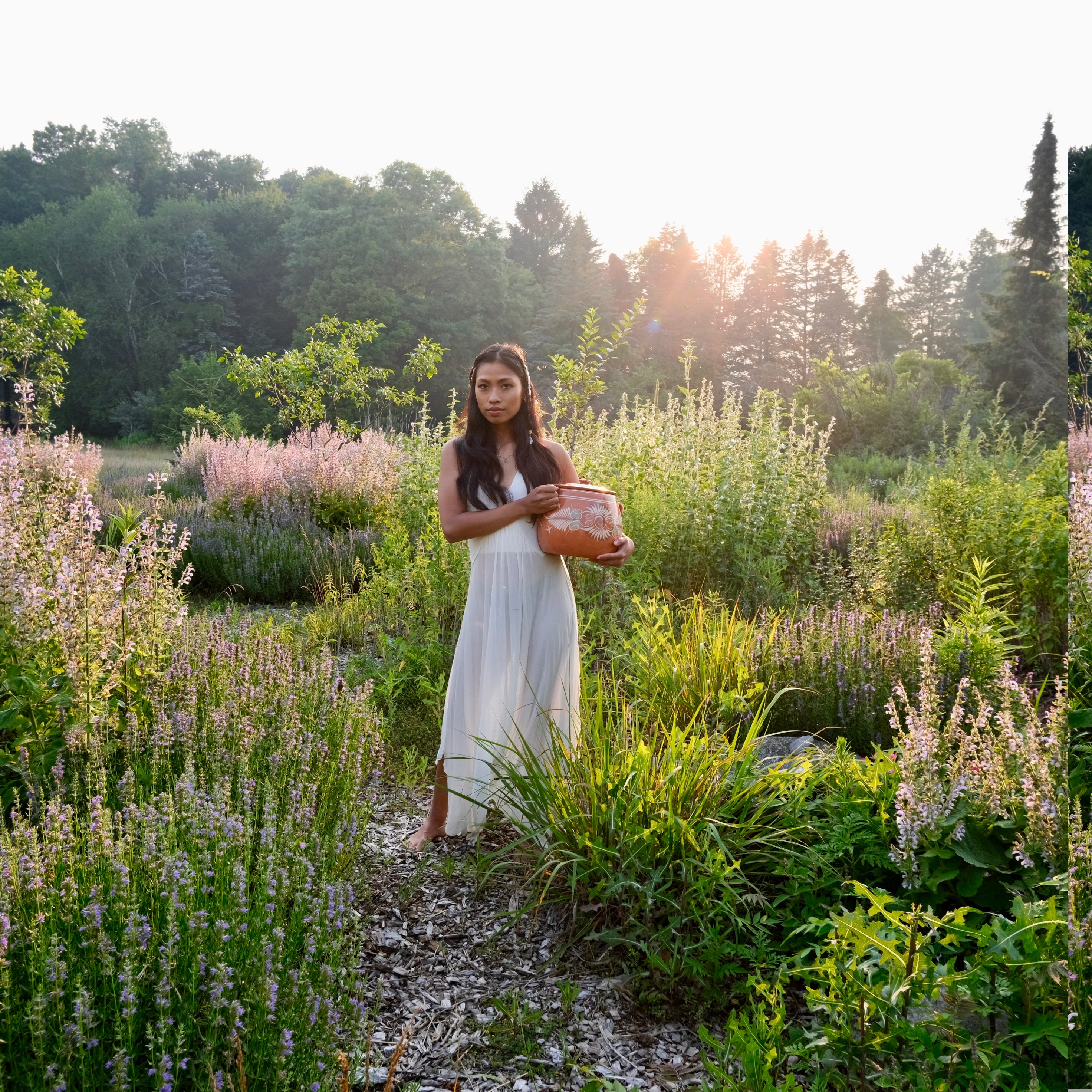 Rose Flower Essences in Organic Cane Sugar by The New New Age