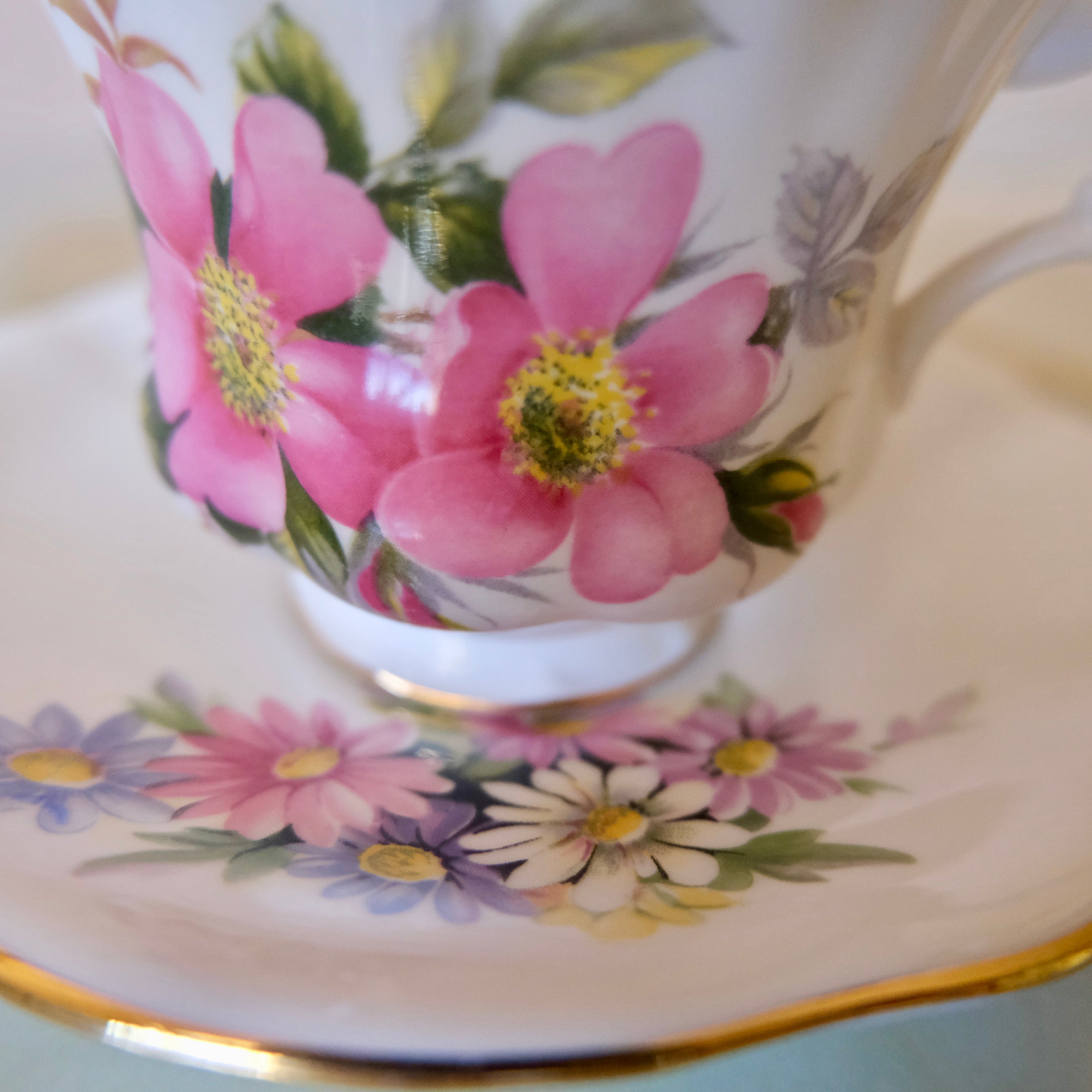 Royal Albert Bone China Tea Cup and Saucer: Prairie Rose