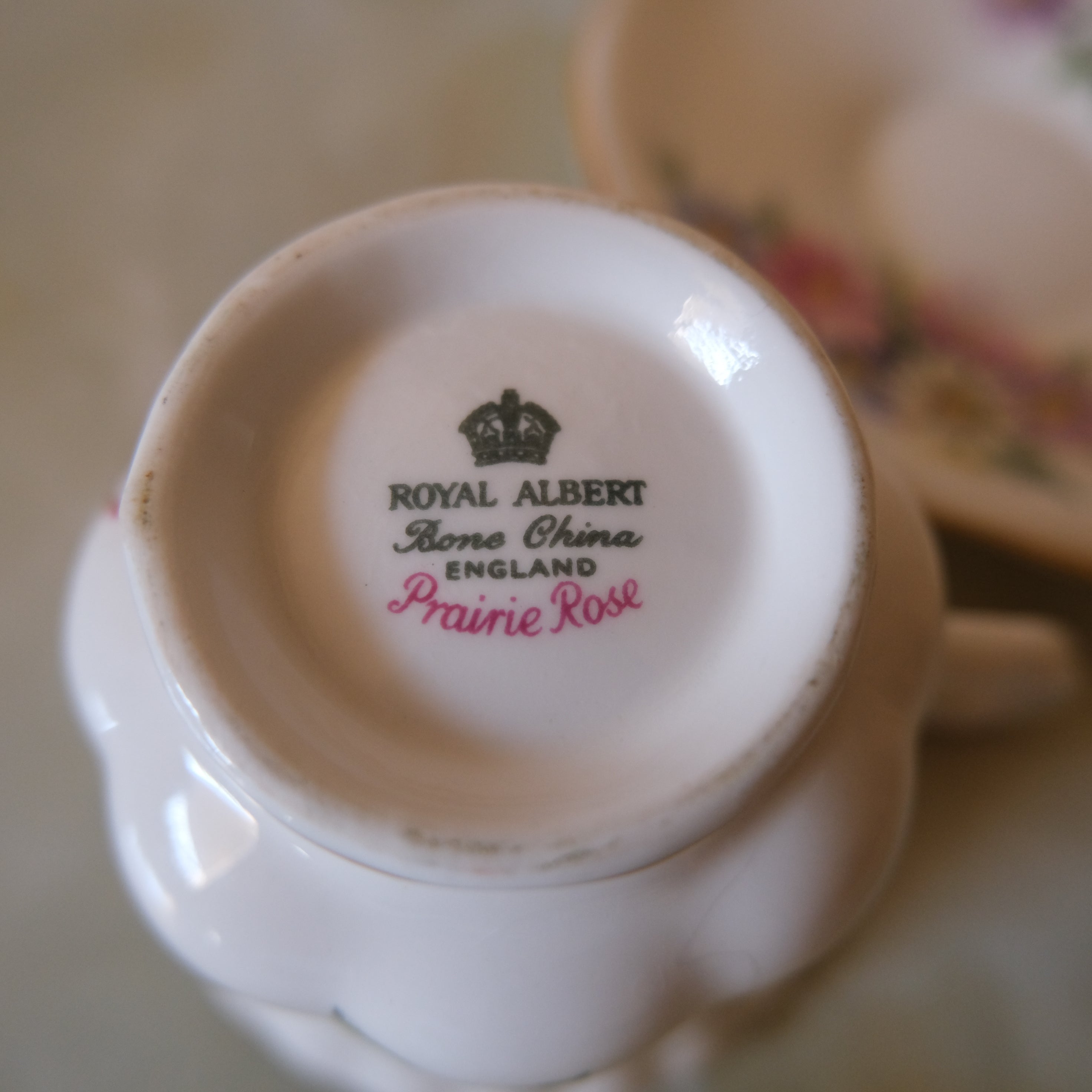Royal Albert Bone China Tea Cup and Saucer: Prairie Rose