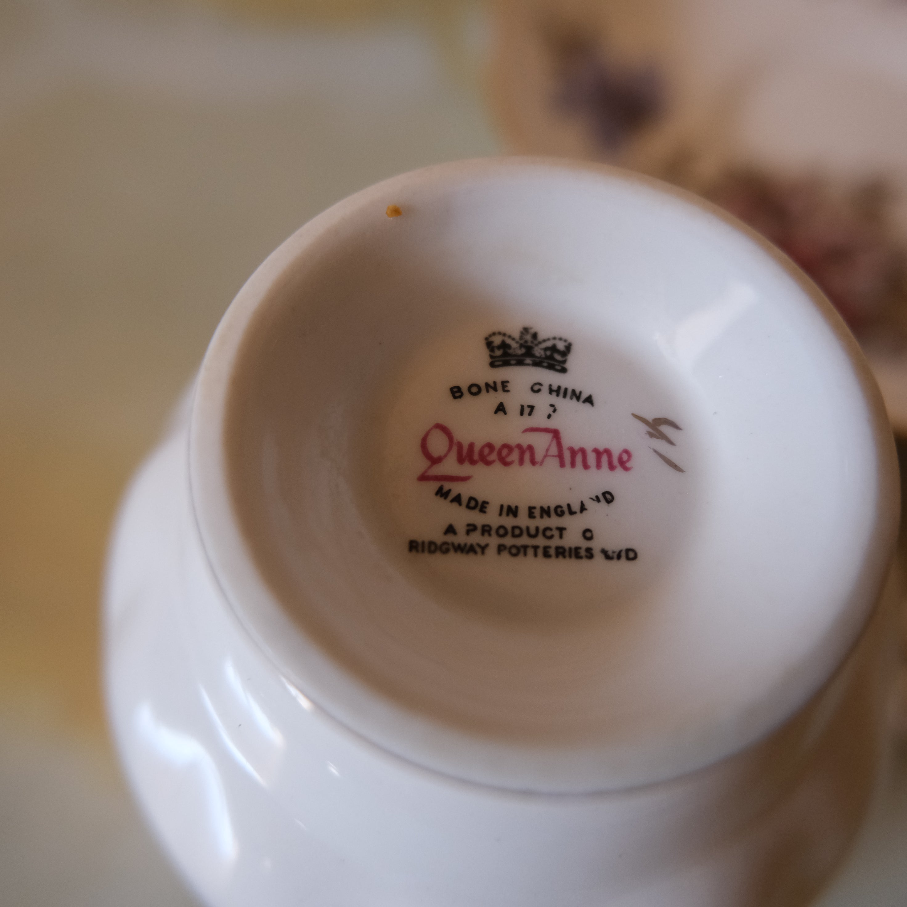Queen Anne Bone China Tea Cup and Saucer