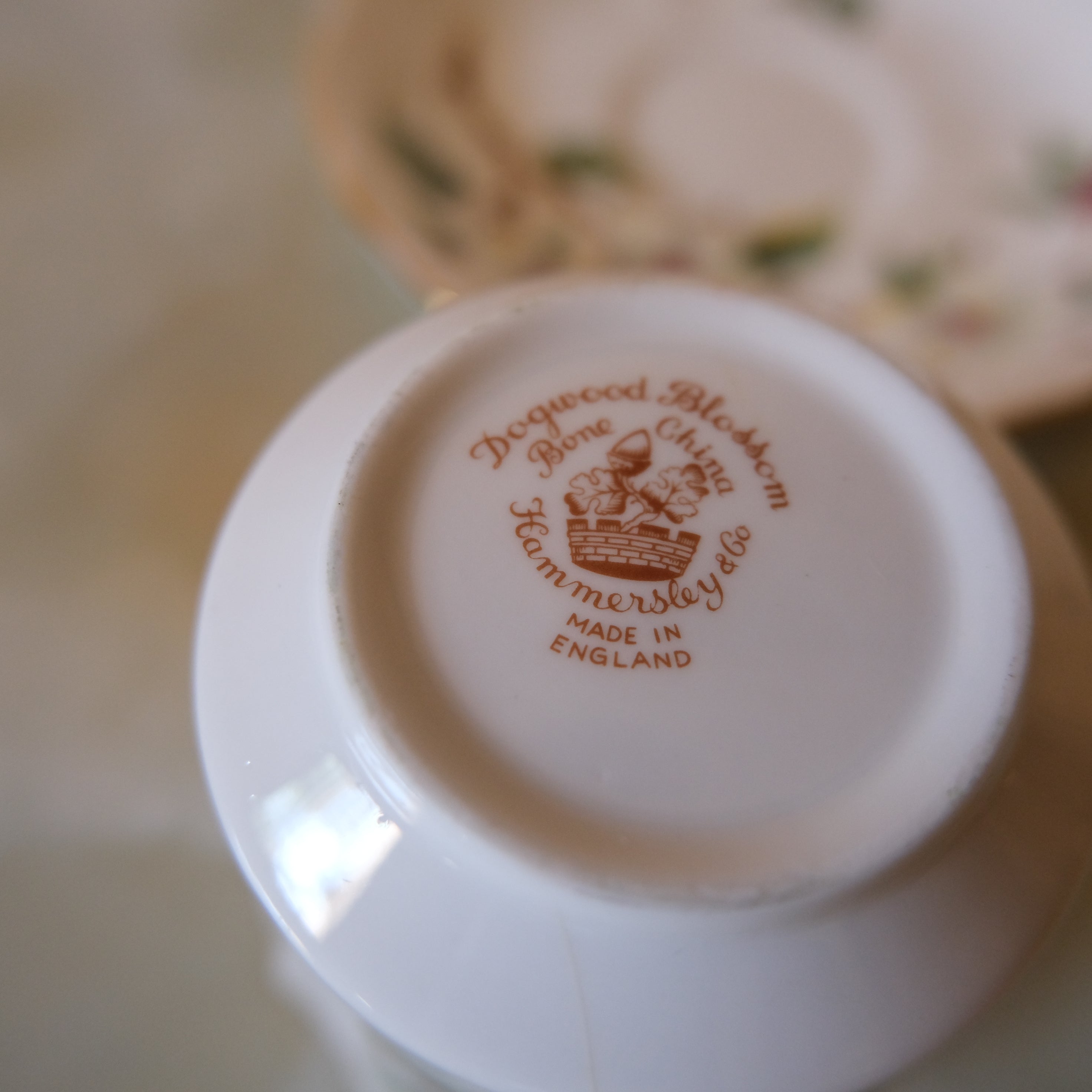 Hammersly and Co. Bone China Tea Cup and Saucer: Dogwood Blossom