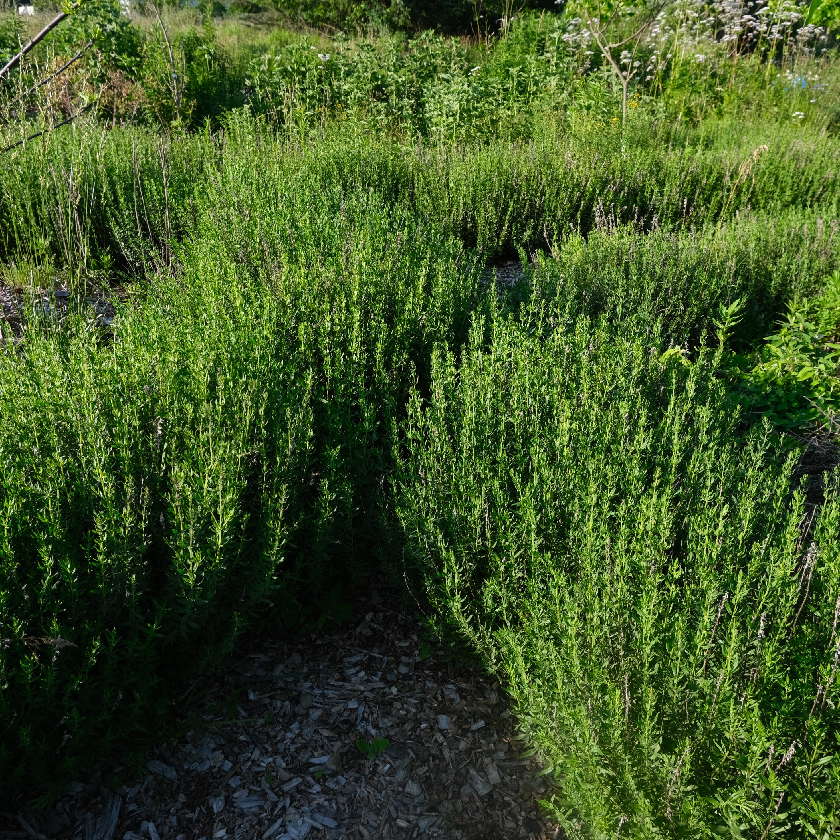 A VOICE IN THE WILDERNESS DAY RETREAT