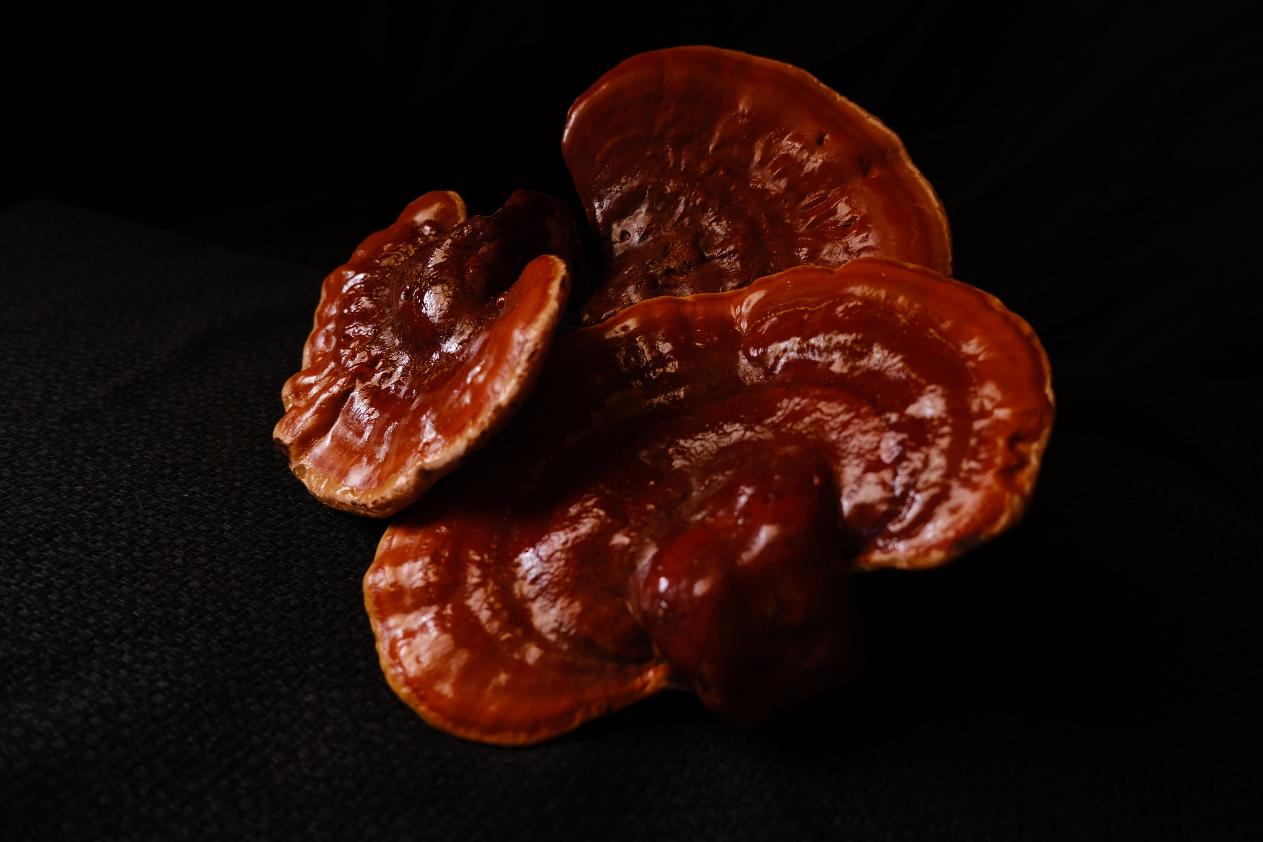 REISHI MUSHROOM SLICES