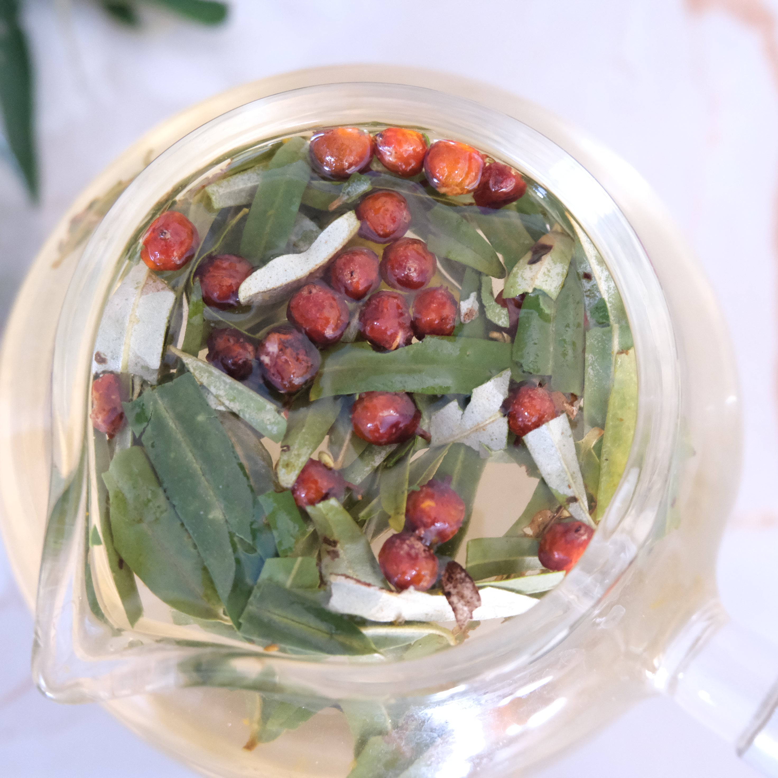 SEA BUCKTHORN LEAF + BERRY