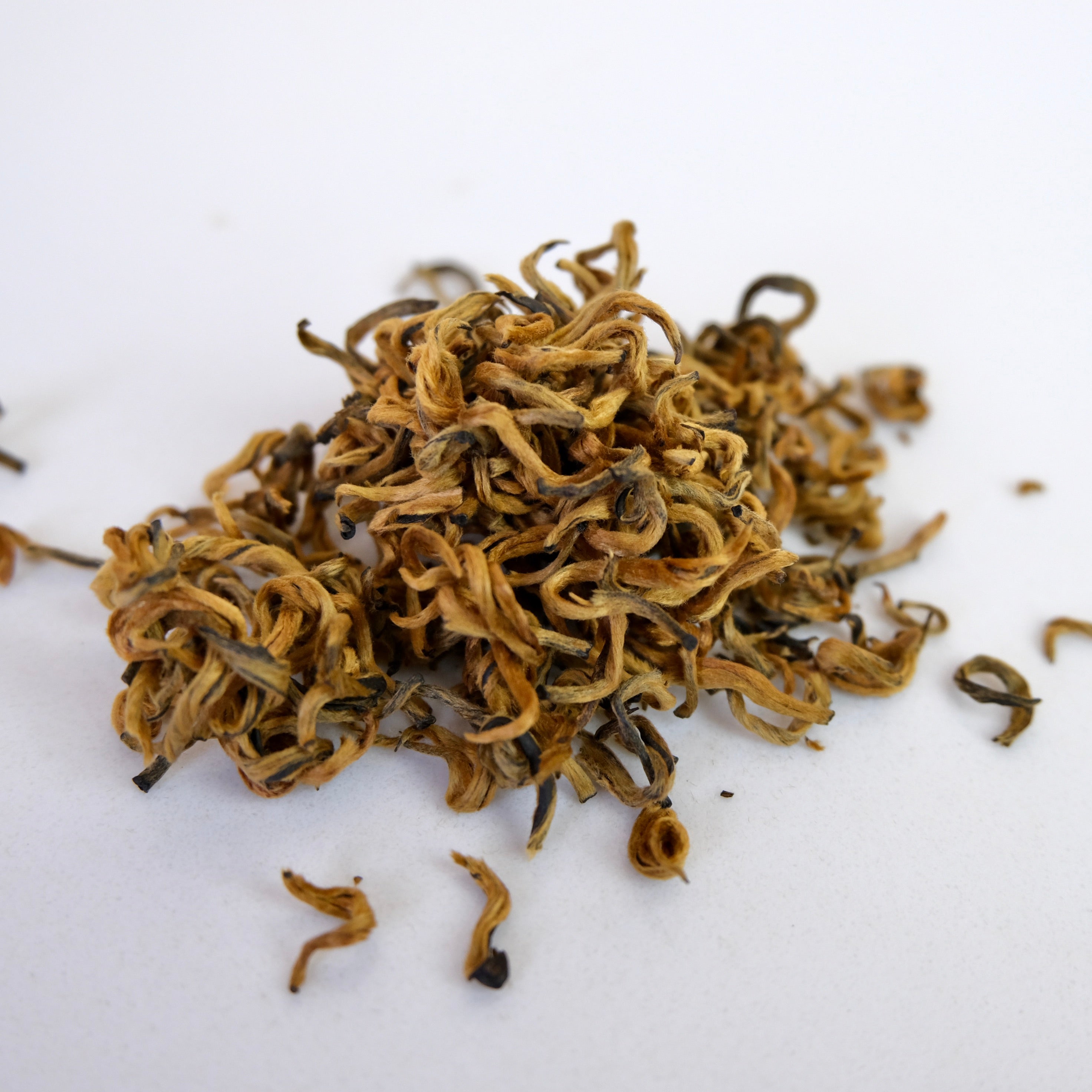 ANCIENT TREE GOLDEN BUD - GUSHU DIANHONG