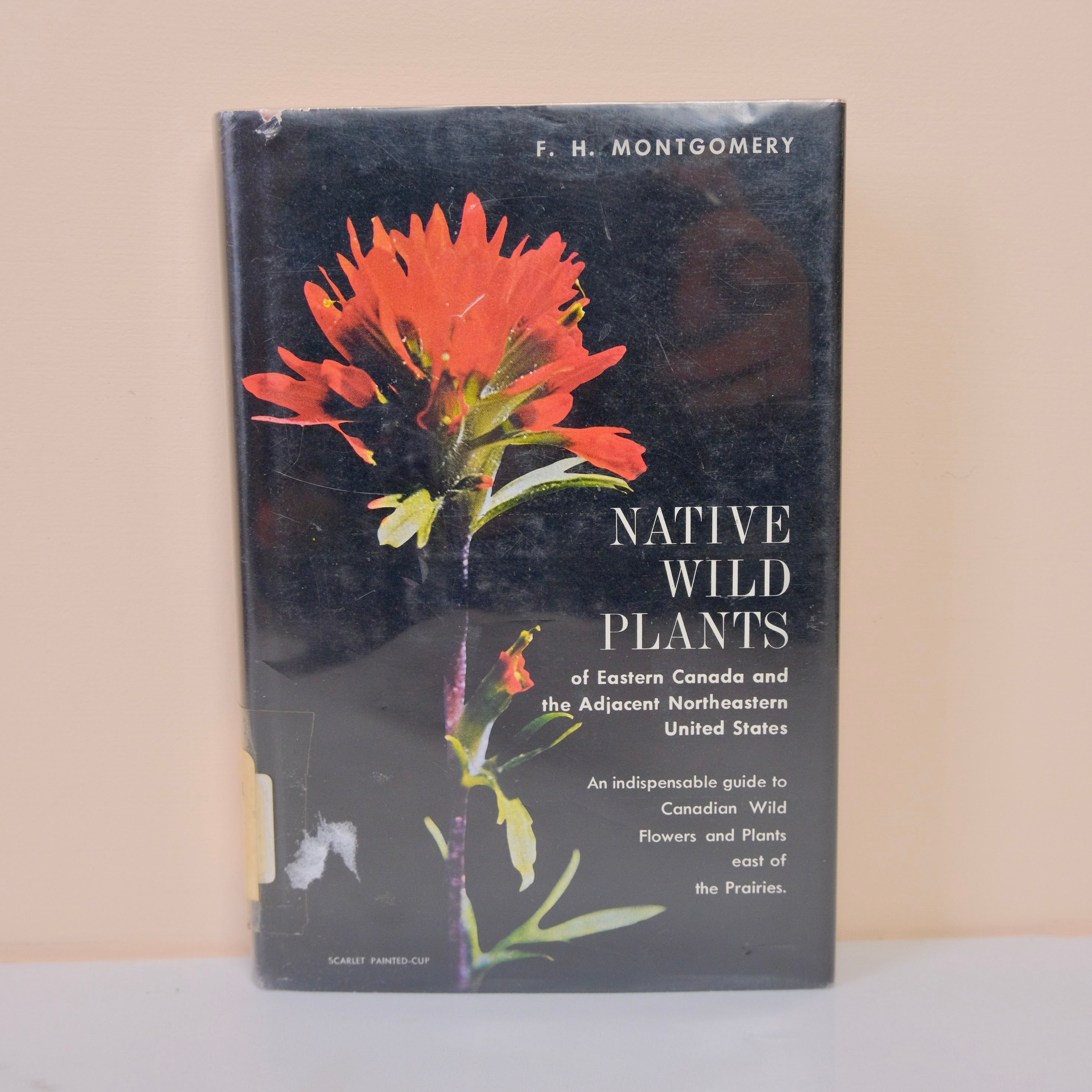 Native Wild Plants of Eastern Canada and the Adjacent Northeastern United States