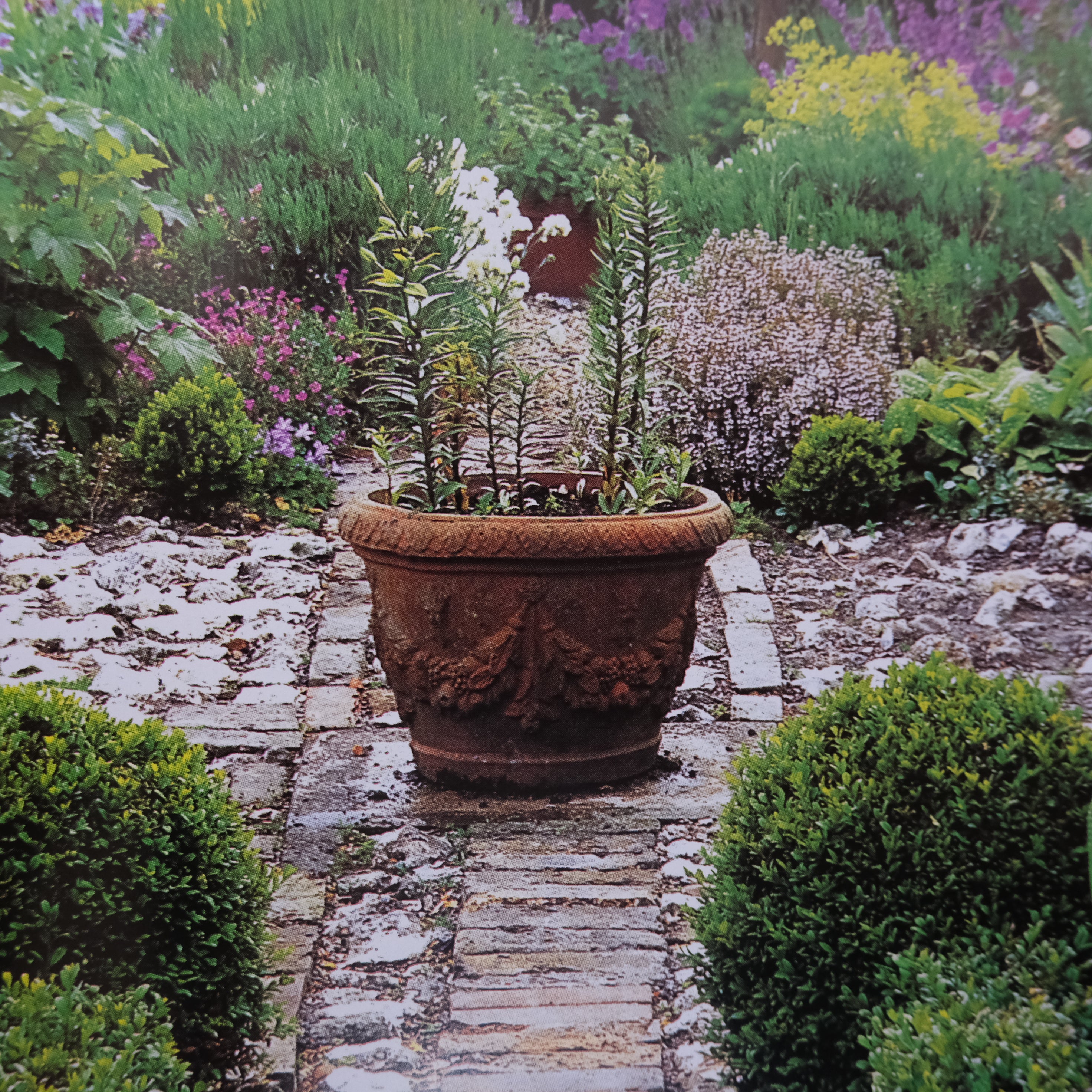 THE ILLUSTRATED BOOK OF HERBS