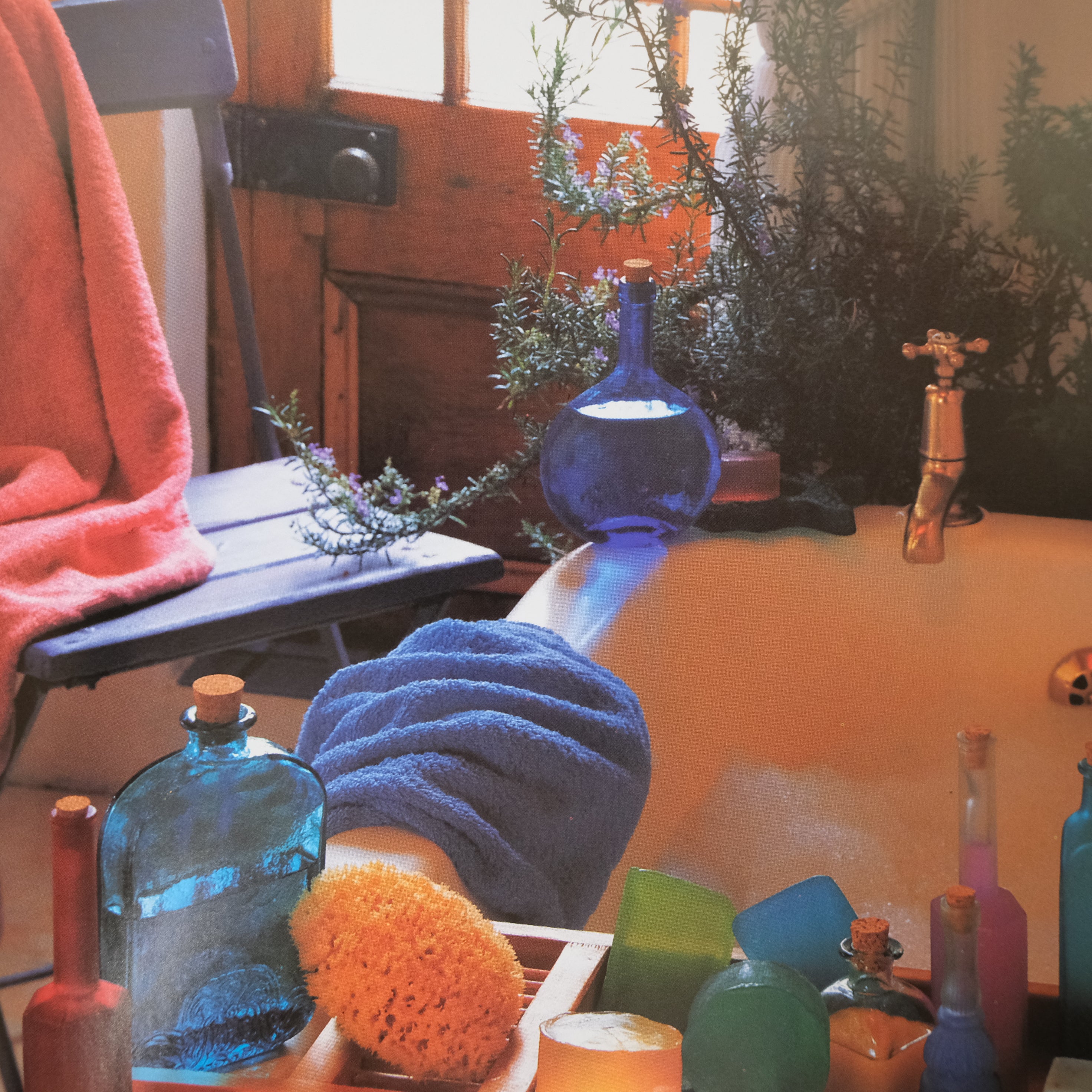 THE ILLUSTRATED BOOK OF HERBS