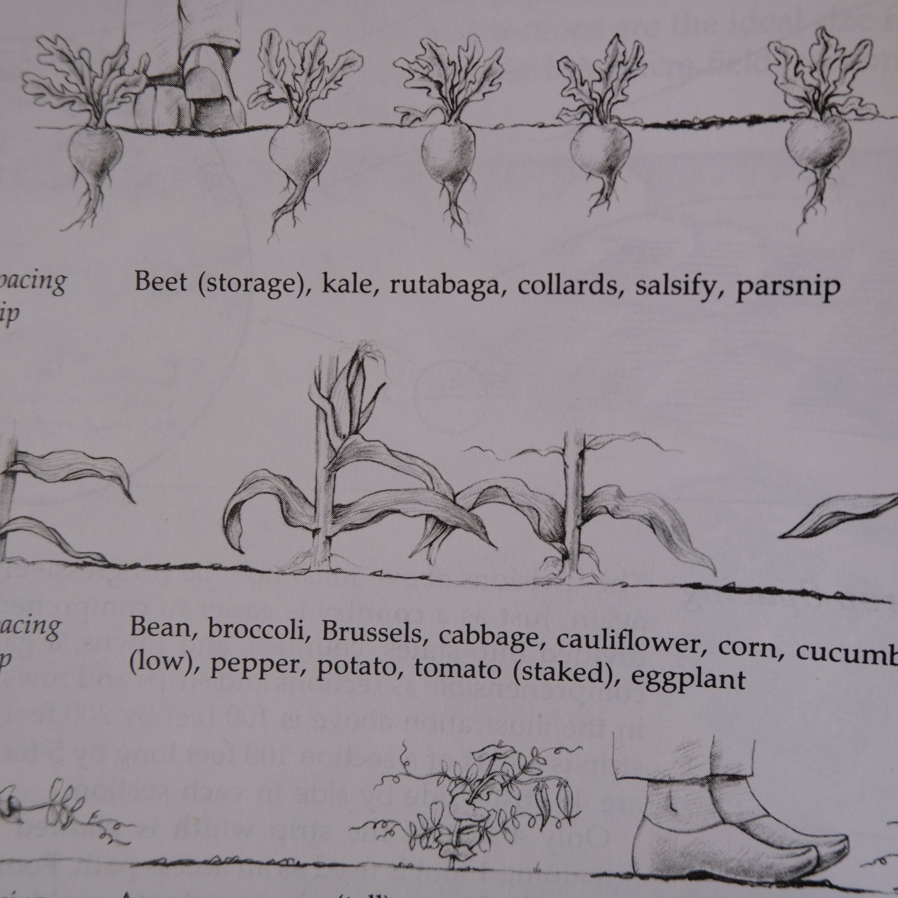 THE NEW ORGANIC GROWER by ELIOT COLEMAN