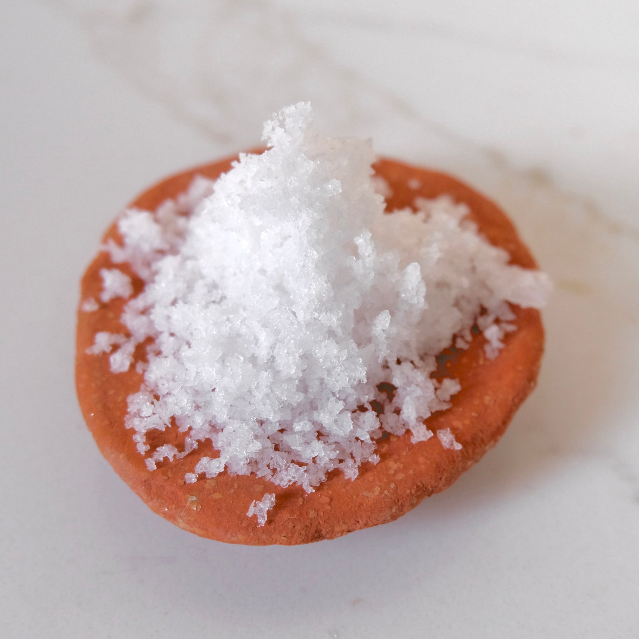 Small terracotta dish filled with white salt on a light background