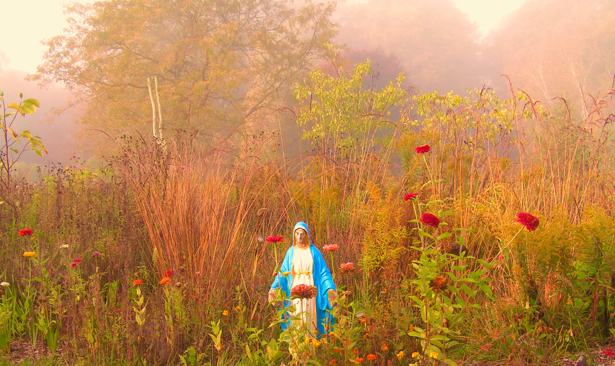 A small figurine of the Virgin Mary stands in a misty, sunlit field of tall dry grass and red wildflowers. The scene has a warm golden-hour glow and soft atmospheric haze.