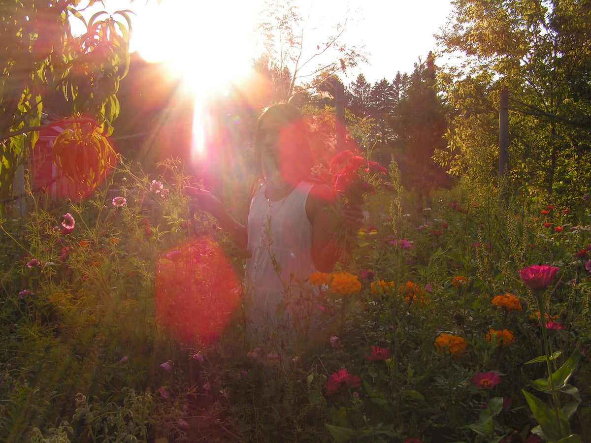 A person standing in a sunlit garden among colorful flowers, with strong lens flare and backlighting from the sun.