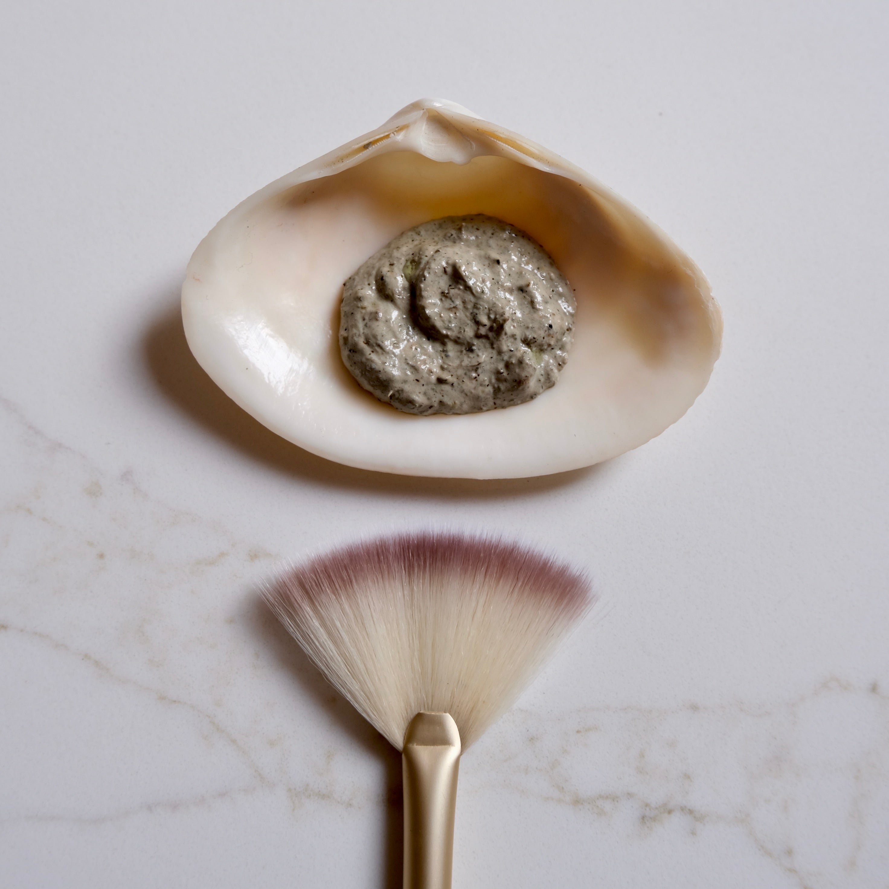 Clay product in a shell with a brush on a marble surface