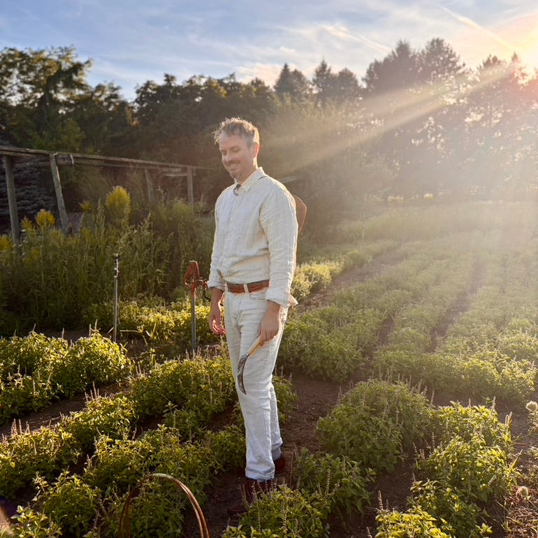Man standing in a garden with rows of plants under a sunlit sky