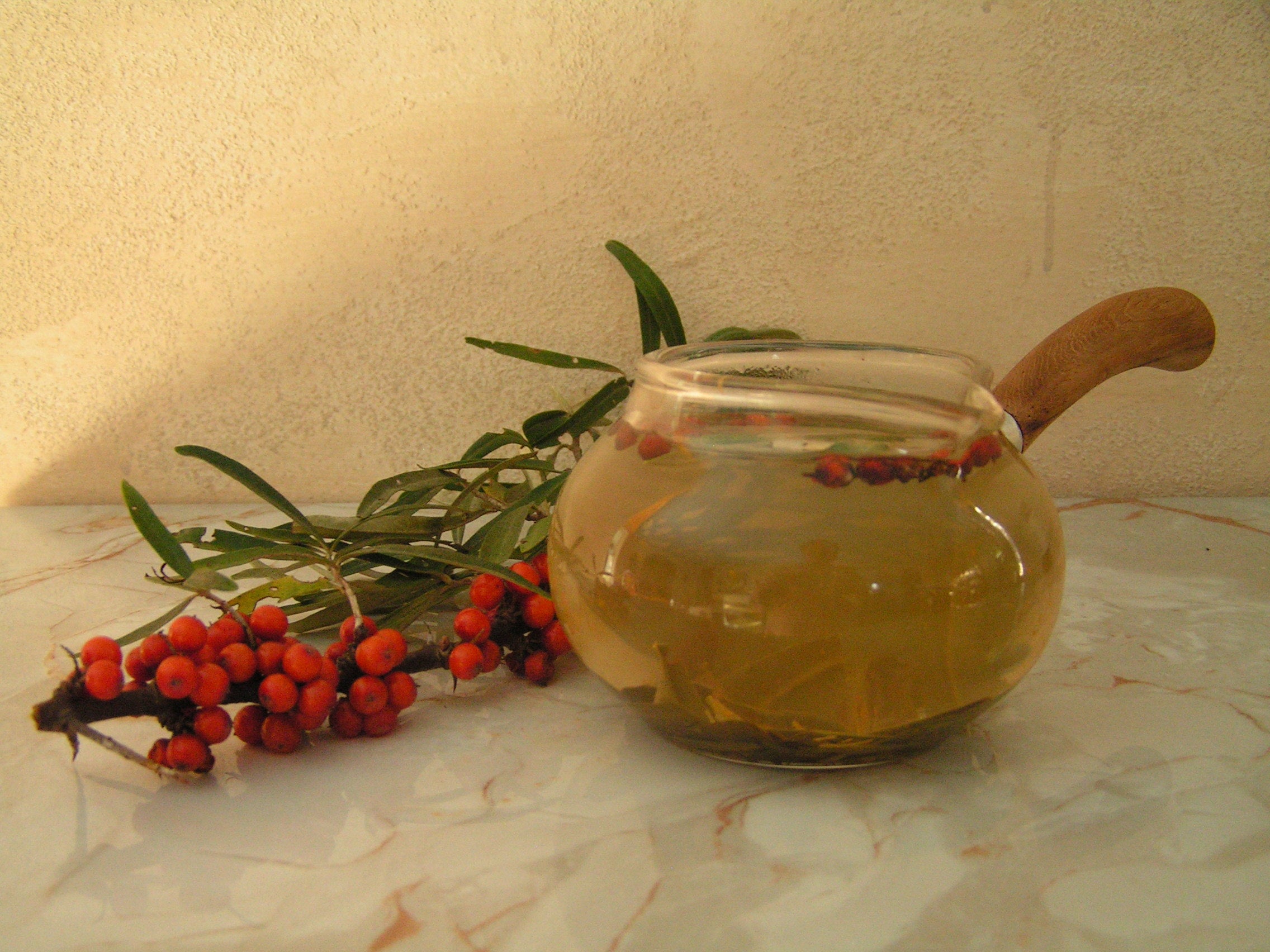 SEA BUCKTHORN LEAF + BERRY