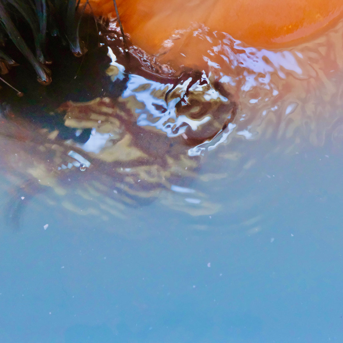A close-up abstract view of rippling water with a bright orange circular form at the top and dark plant-like stems on the left, creating reflections and ripples across blue water.