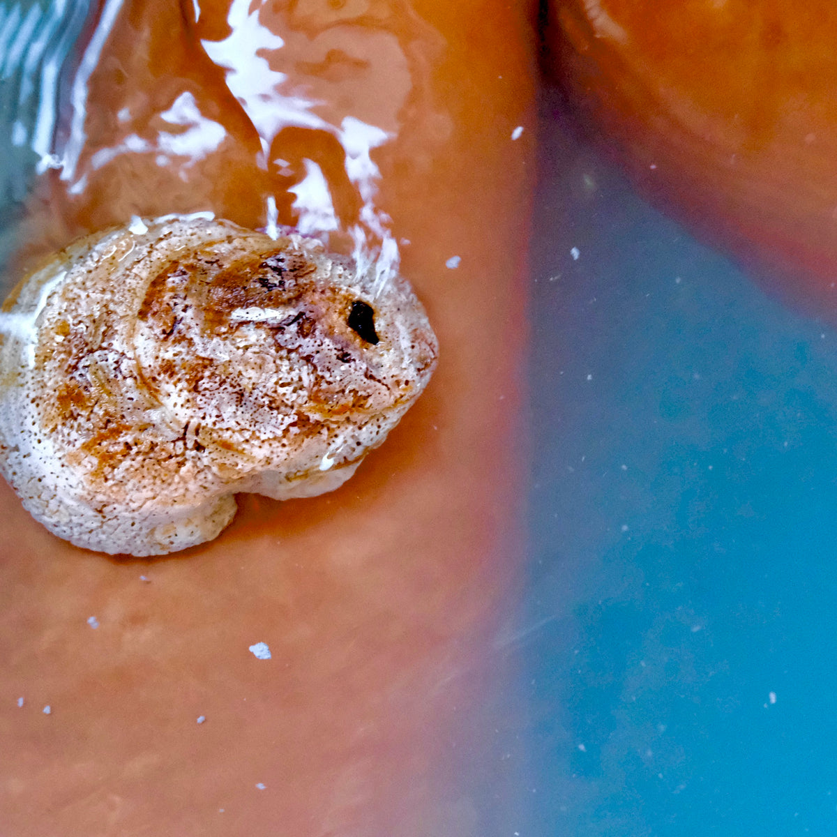 A close-up shot of a small, textured, beige and brown shell-like object resting on wet, orange-brown skin with a bright blue reflective area in the background.