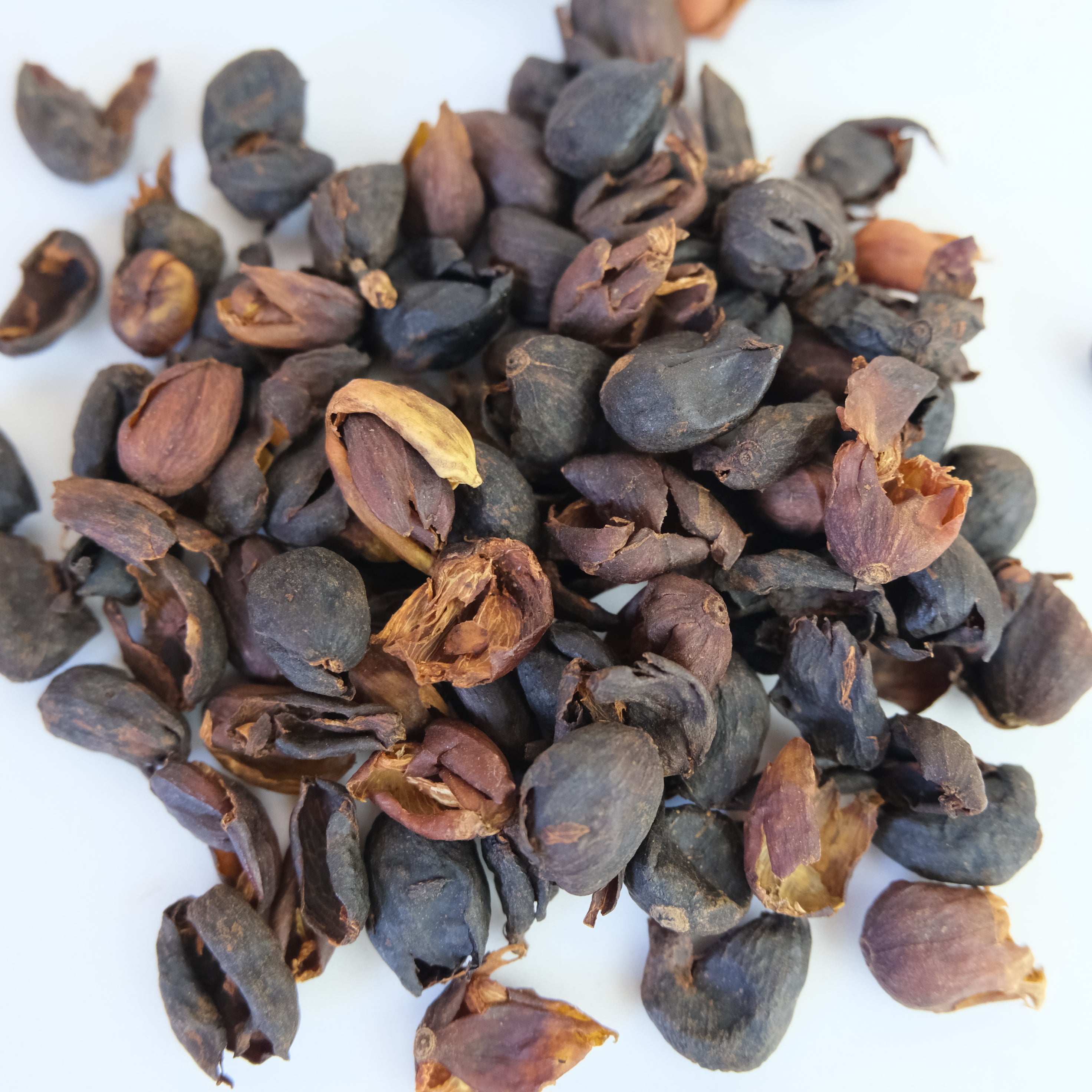 dried coffee fruit cascara tea