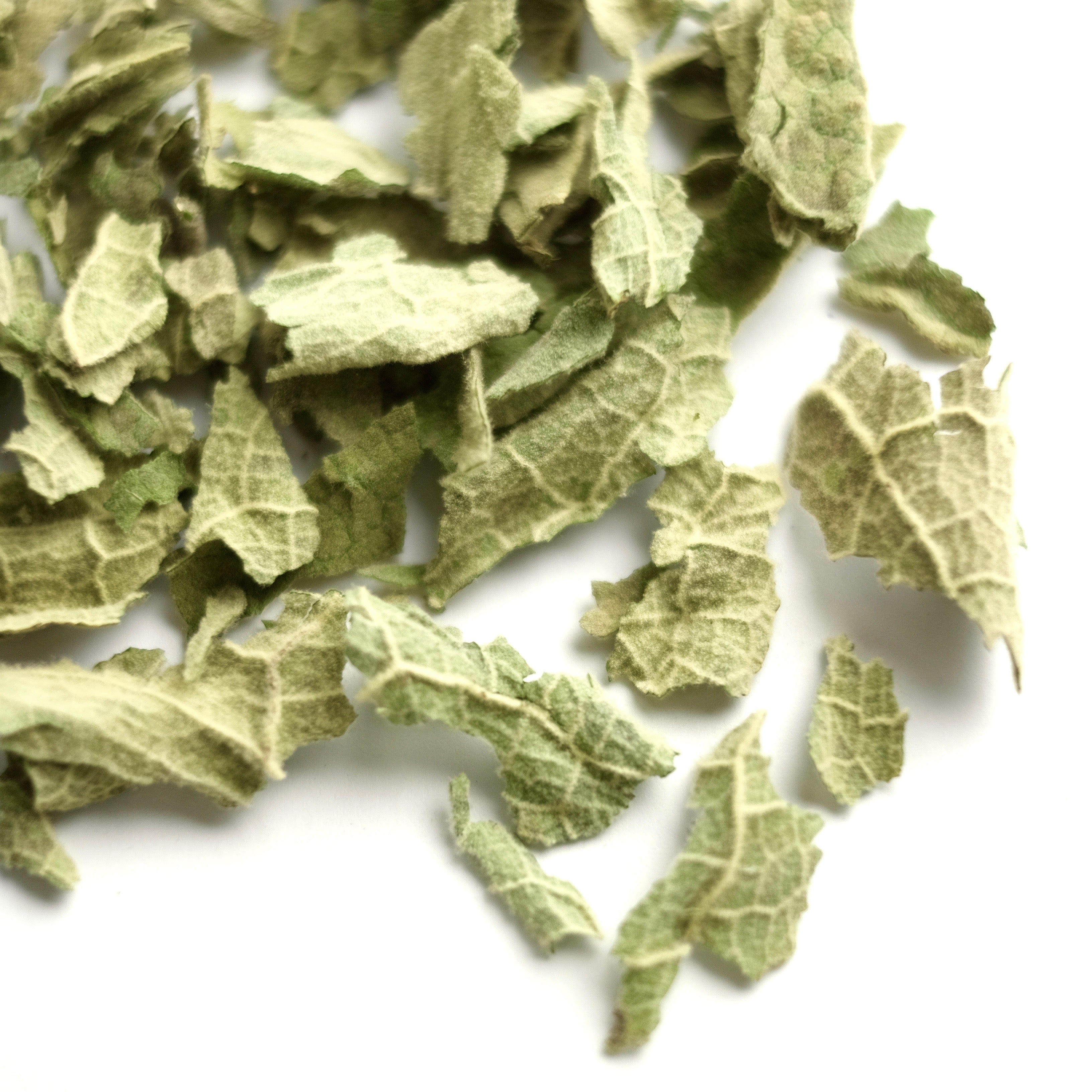 Mullein (Verbascum thapsus) is a plant of many uses and is steeped in folklore and magical history. Over 2000 years ago, Greek physician Dioscorides recommended the plant for lung conditions.