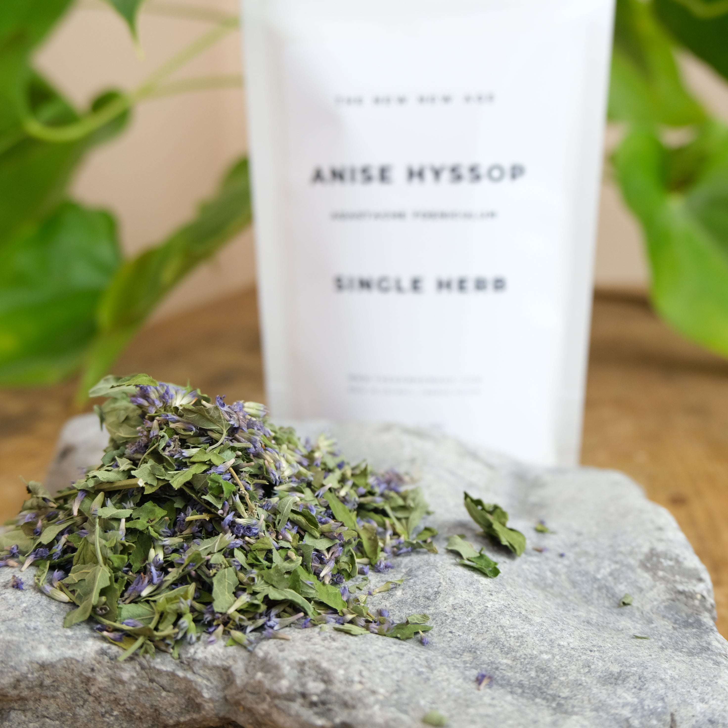 ANISE HYSSOP