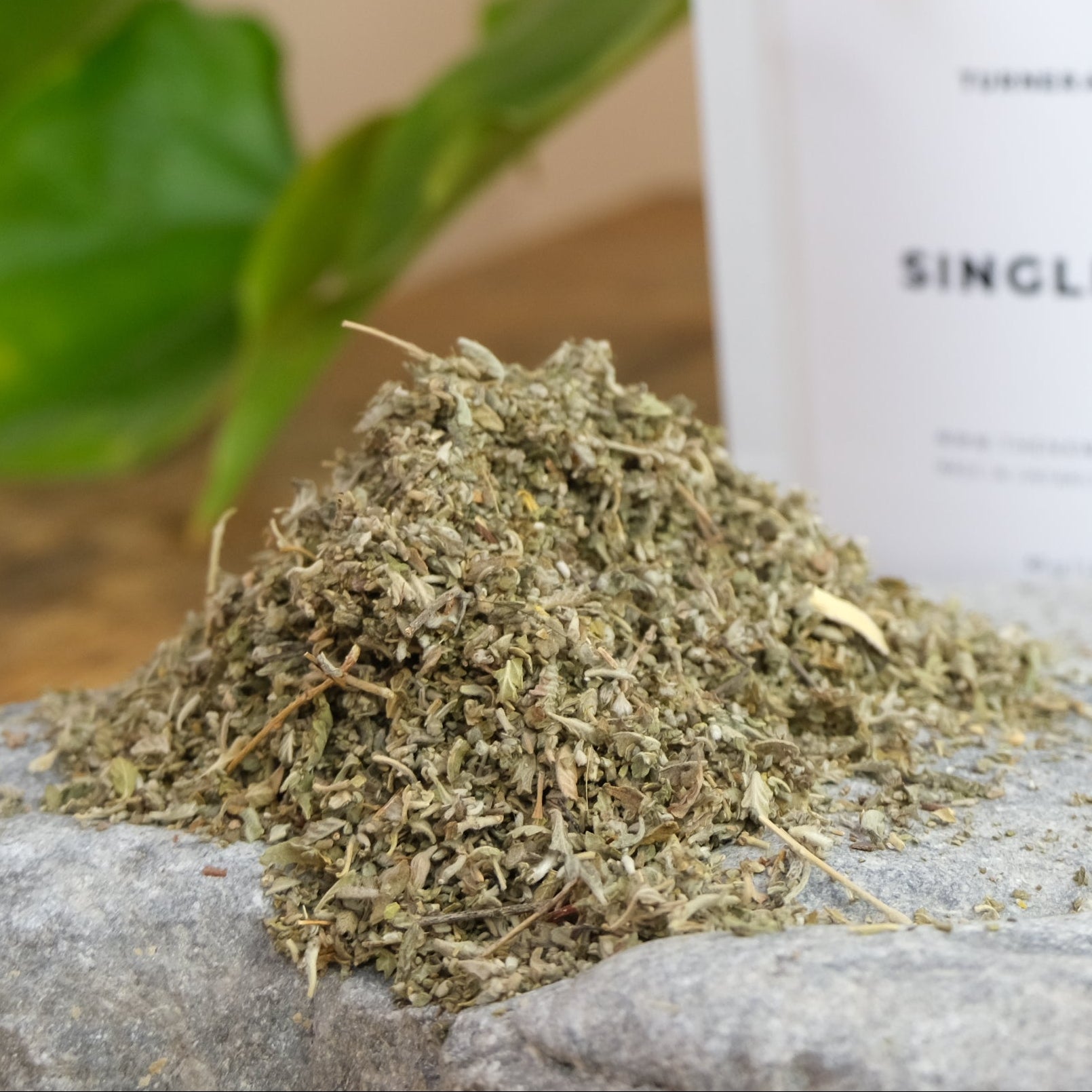 Damiana from Immaculata Herb Farm Farm