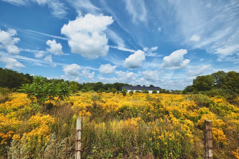 A VOICE IN THE WILDERNESS DAY RETREAT