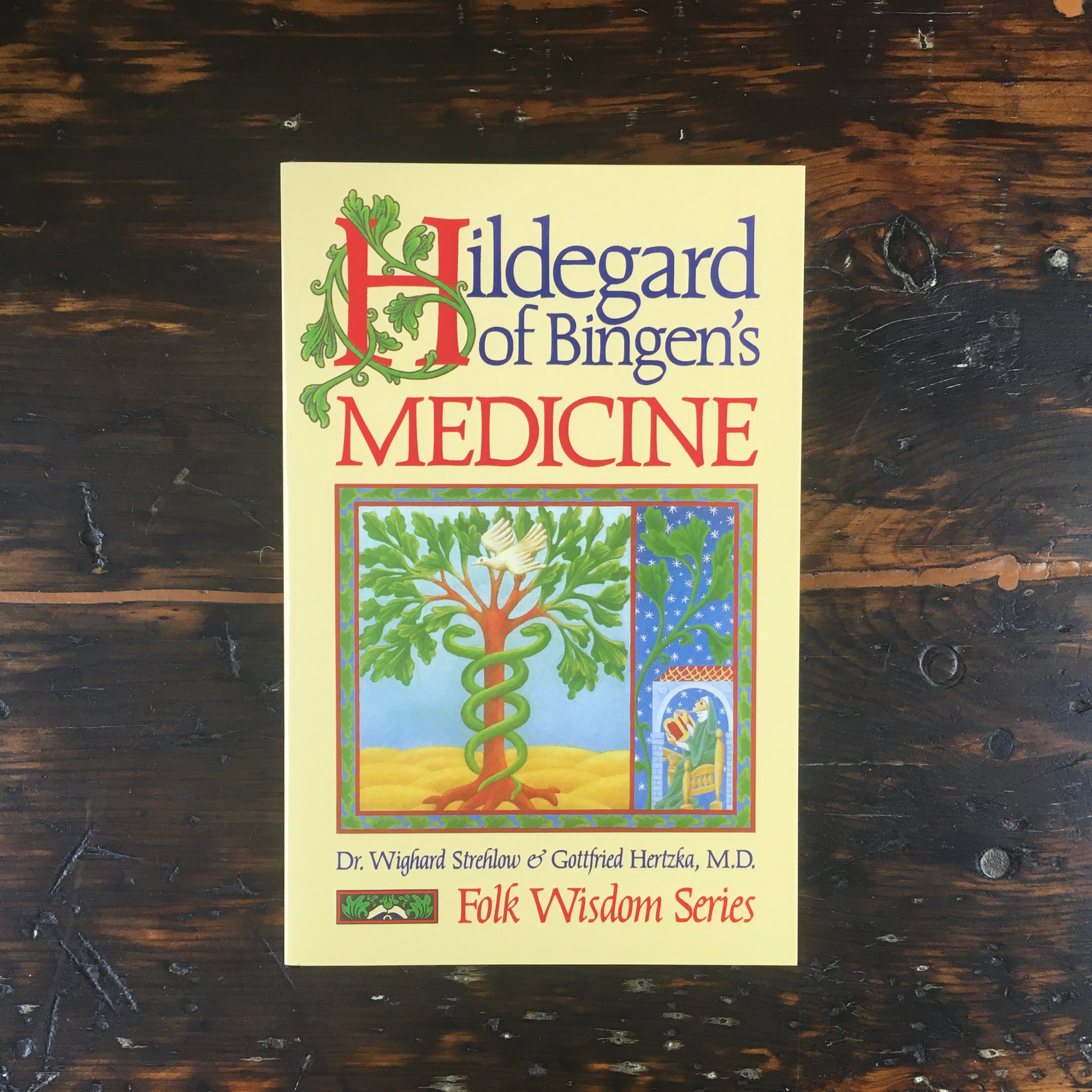 Hildegard of Bingen's Medicine