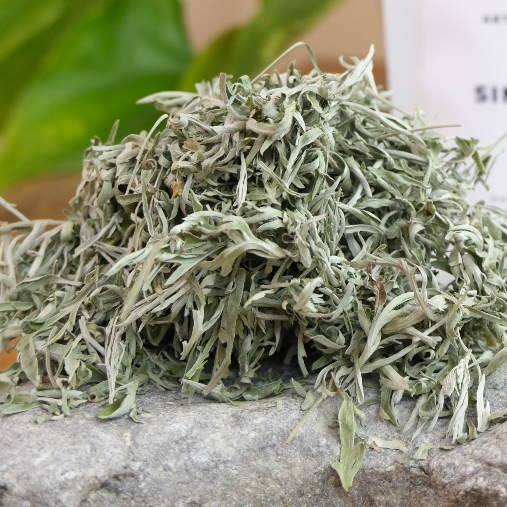 Wormwood dried