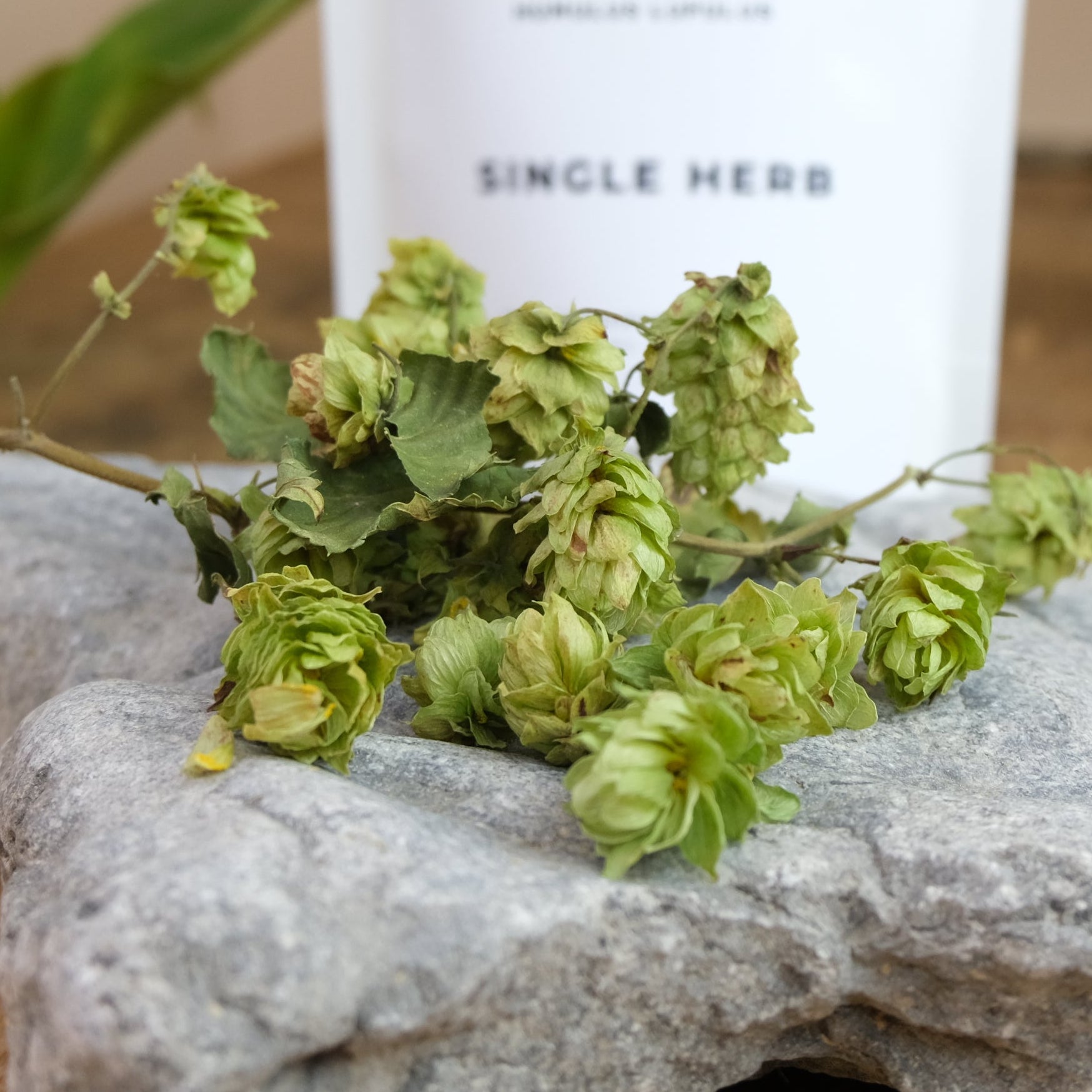 A package labeled 'HOPS, SINGLE HERB' with a white background, resting on a rock next to some green hops.