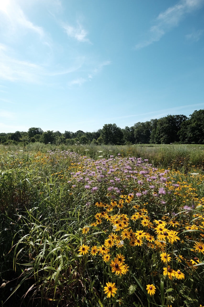A VOICE IN THE WILDERNESS DAY RETREAT