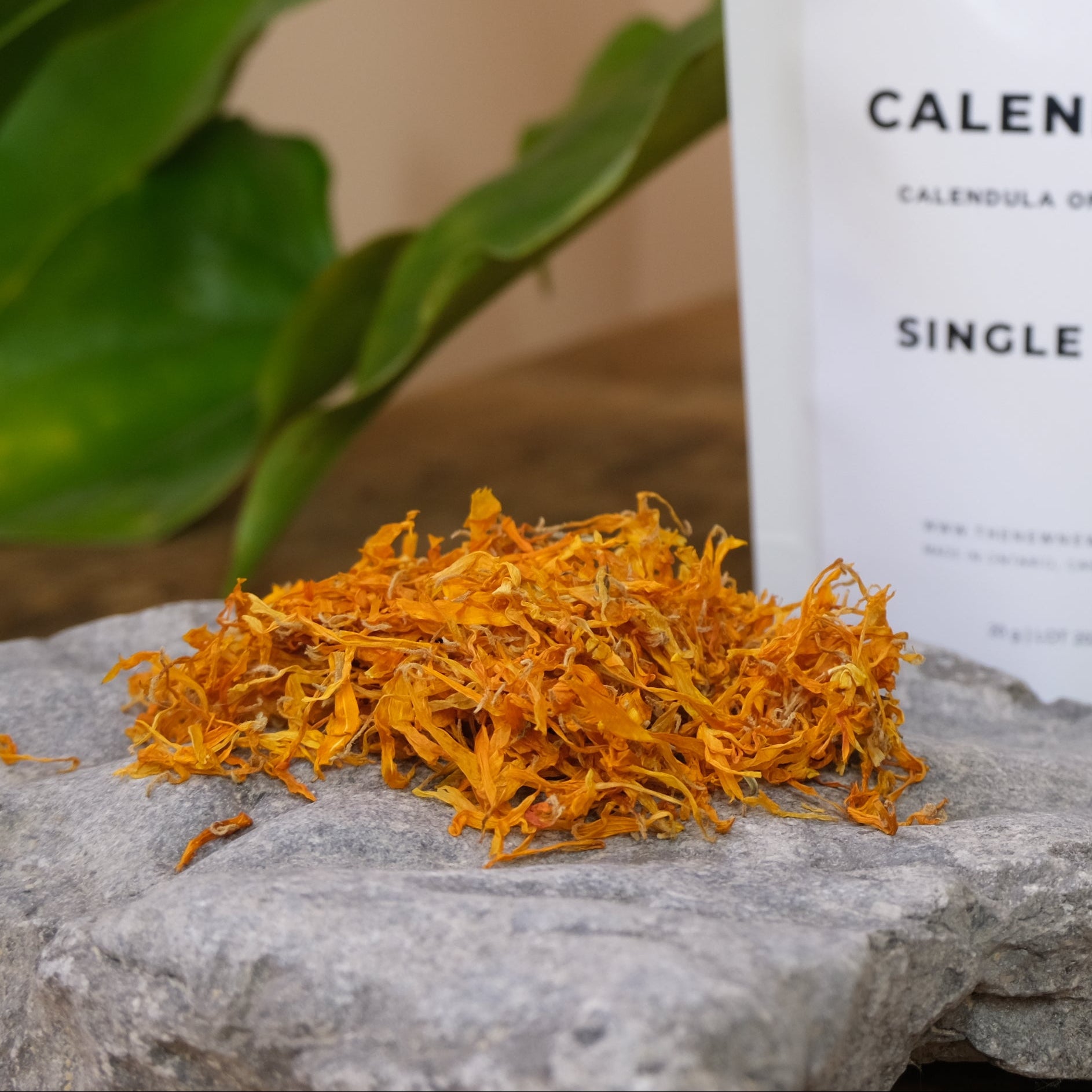 Calendula from The New New Age Herb Farm