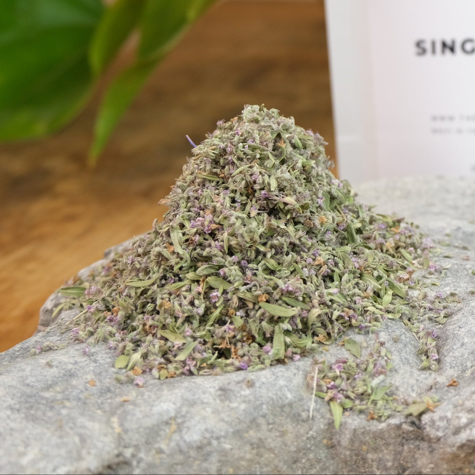 Rose Thyme by Immaculata Herb Farm